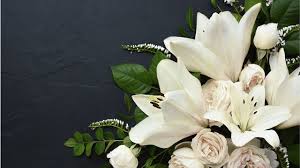 Billy Brandolini, Obituary Death: Haverhill - City in Massachusetts Has Died
